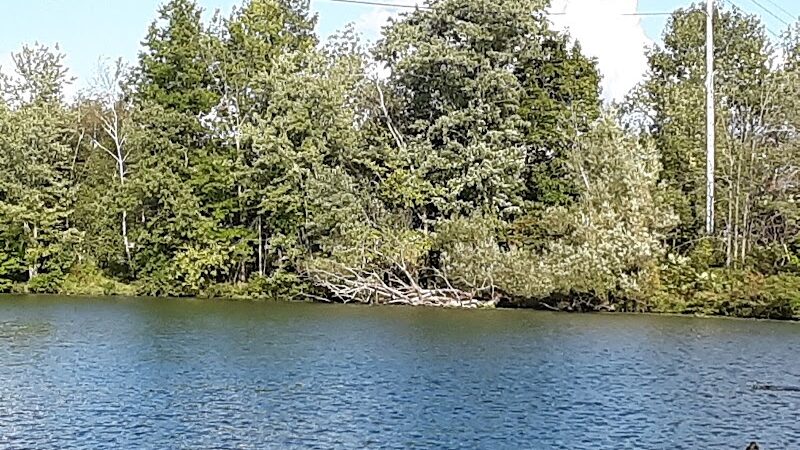 McCrea Point Park & Public Boat Launch - Jamestown, NY