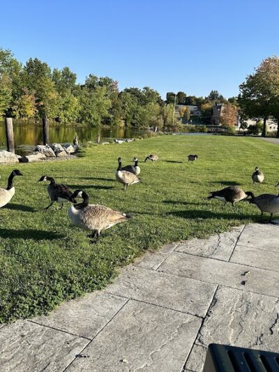 McCrea Point Park & Public Boat Launch - Jamestown, NY