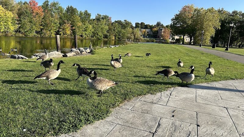 McCrea Point Park & Public Boat Launch - Jamestown, NY
