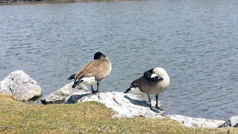 McCrea Point Park & Public Boat Launch - Jamestown, NY