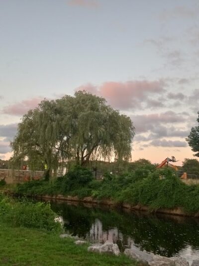 Panzarella Island Park - Jamestown, NY