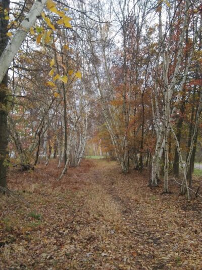 Riverwalk Bike Path - Jamestown, NY