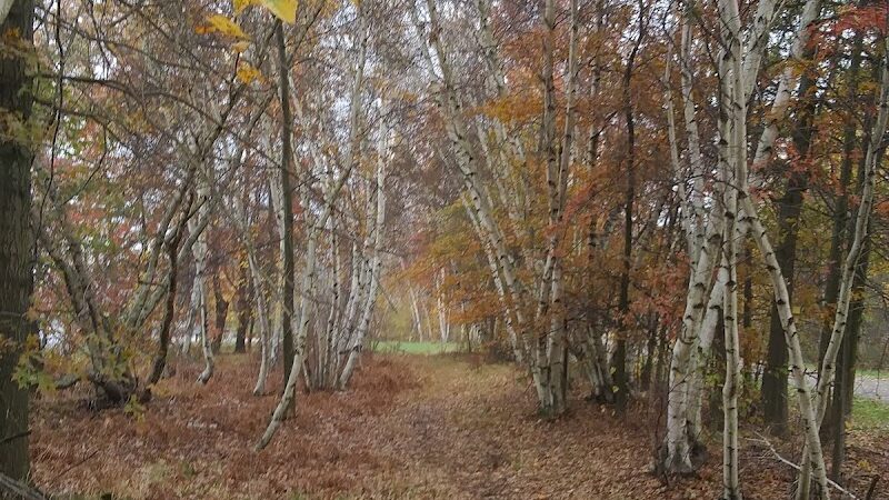 Riverwalk Bike Path - Jamestown, NY
