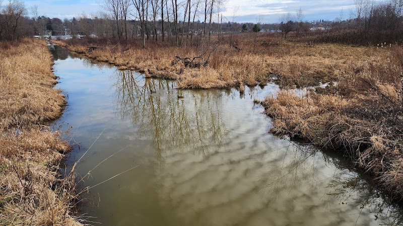Jackson-Taylor Park - Jamestown, NY