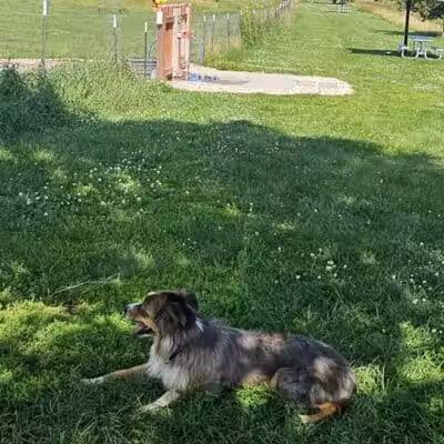 Paw Print Dog Park - Janesville, WI