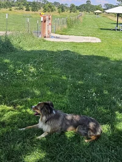 Paw Print Dog Park - Janesville, WI