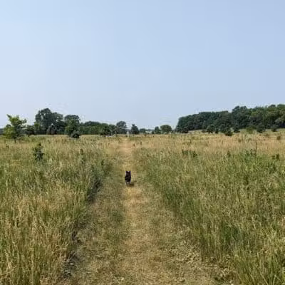 Paw Print Dog Park - Janesville, WI