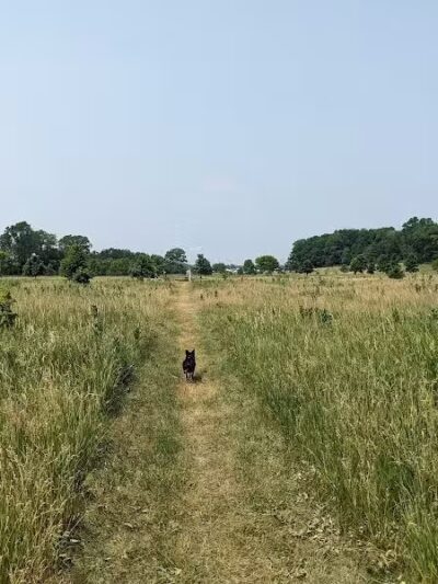 Paw Print Dog Park - Janesville, WI