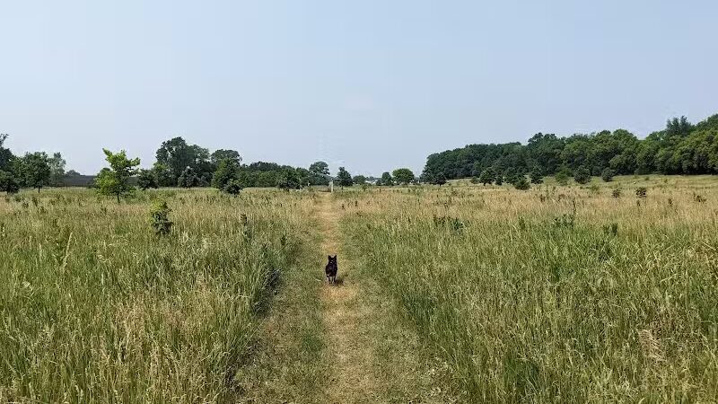 Paw Print Dog Park - Janesville, WI