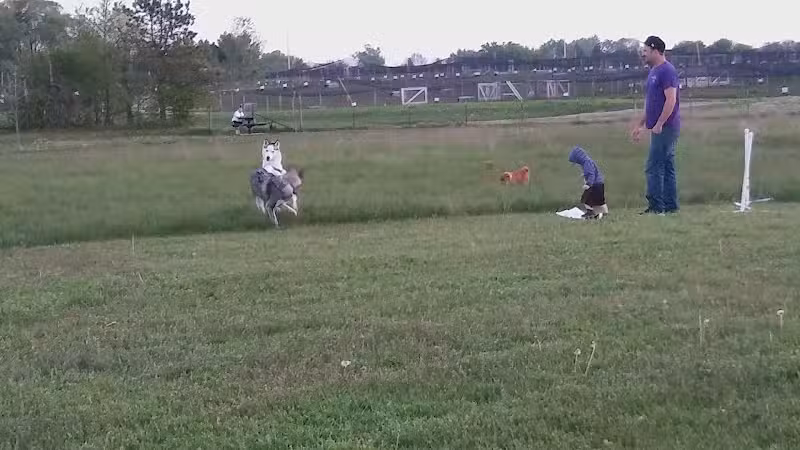 Paw Print Dog Park - Janesville, WI