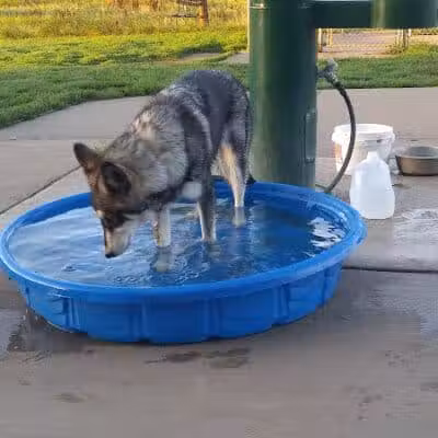 Paw Print Dog Park - Janesville, WI