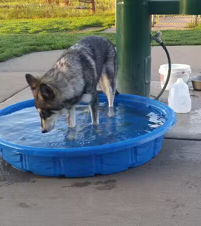 Paw Print Dog Park - Janesville, WI
