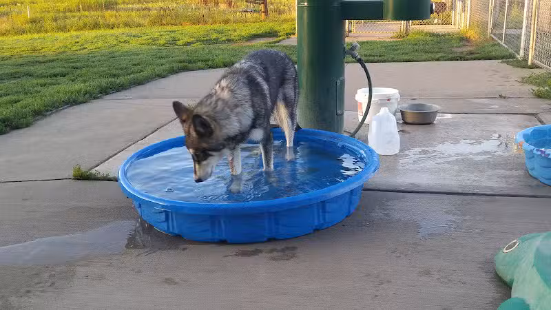 Paw Print Dog Park - Janesville, WI