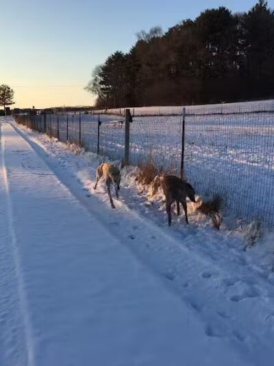 Paw Print Dog Park - Janesville, WI