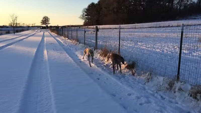 Paw Print Dog Park - Janesville, WI