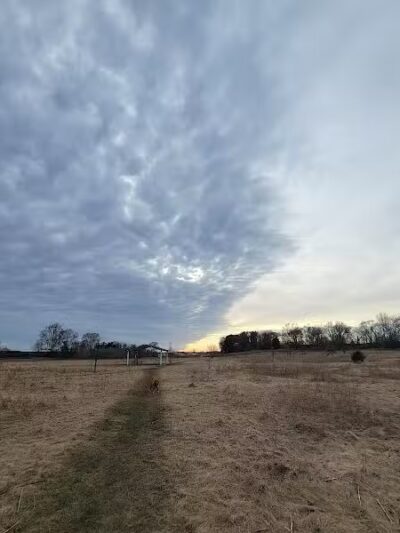 Paw Print Dog Park - Janesville, WI