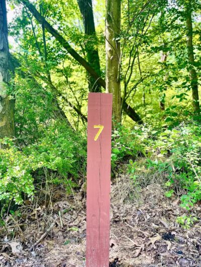 Five Star Trail Mile 7 - Jeannette, PA