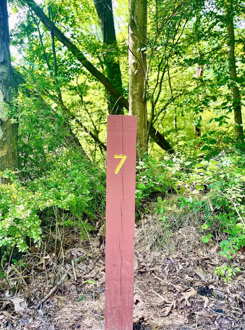Five Star Trail Mile 7 - Jeannette, PA