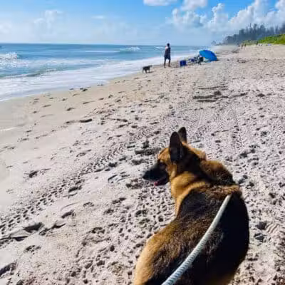 Walton Rock Dog Park - Jensen Beach, FL