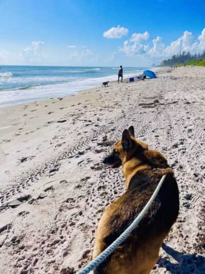 Walton Rock Dog Park - Jensen Beach, FL