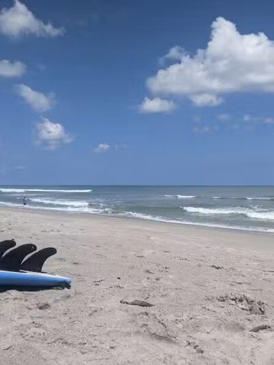 Walton Rock Dog Park - Jensen Beach, FL