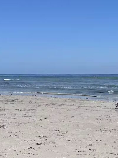 Walton Rock Dog Park - Jensen Beach, FL