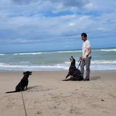 Walton Rocks Beach / Dog Park - Jensen Beach, FL