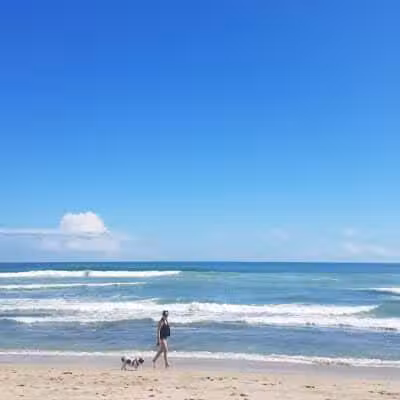 Walton Rocks Beach / Dog Park - Jensen Beach, FL