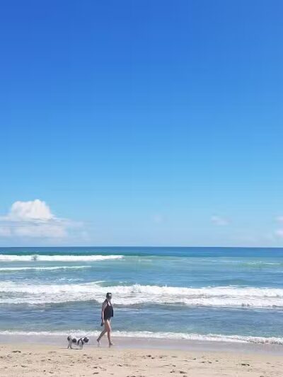 Walton Rocks Beach / Dog Park - Jensen Beach, FL