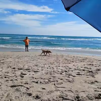 Walton Rocks Beach / Dog Park - Jensen Beach, FL