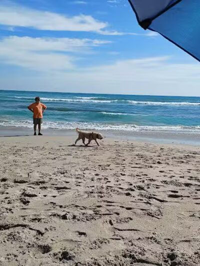 Walton Rocks Beach / Dog Park - Jensen Beach, FL