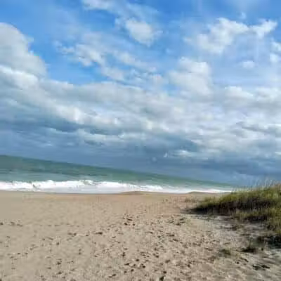Walton Rocks Beach / Dog Park - Jensen Beach, FL