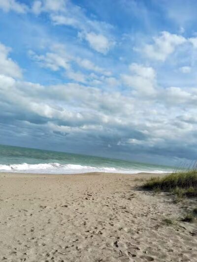 Walton Rocks Beach / Dog Park - Jensen Beach, FL