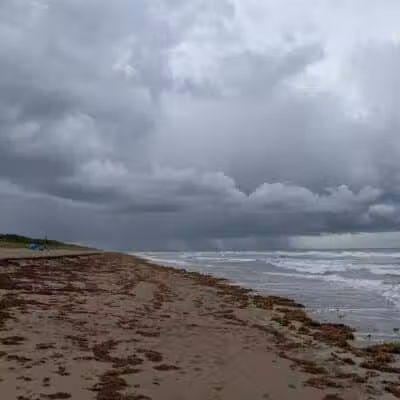 Walton Rocks Beach / Dog Park - Jensen Beach, FL