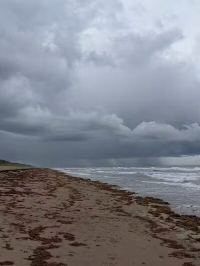 Walton Rocks Beach / Dog Park - Jensen Beach, FL