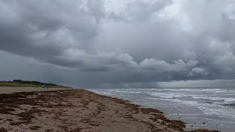 Walton Rocks Beach / Dog Park - Jensen Beach, FL