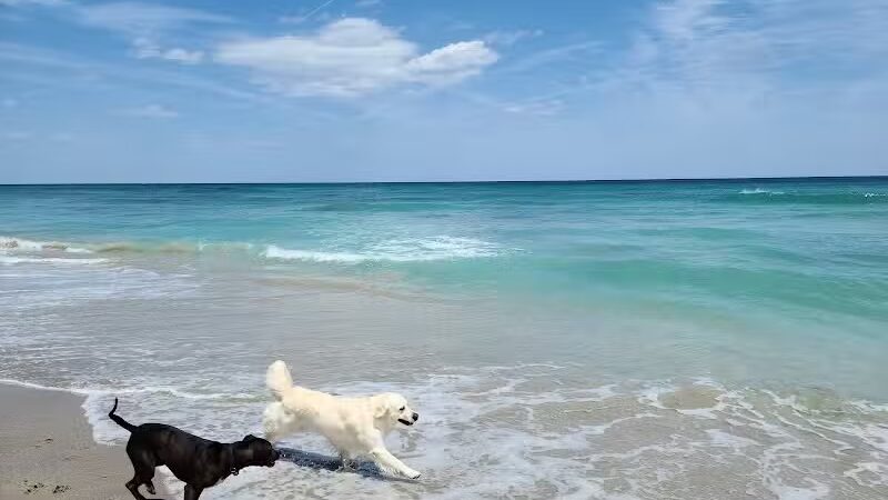 Walton Rocks Beach / Dog Park - Jensen Beach, FL