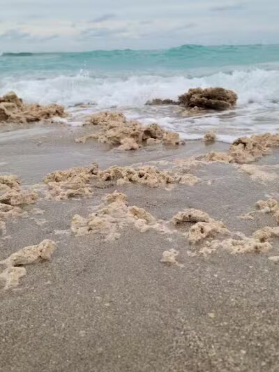 Walton Rocks Beach / Dog Park - Jensen Beach, FL