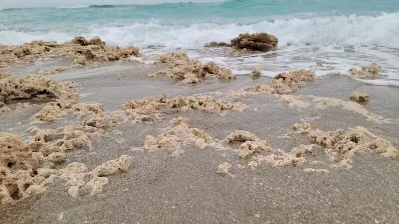 Walton Rocks Beach / Dog Park - Jensen Beach, FL