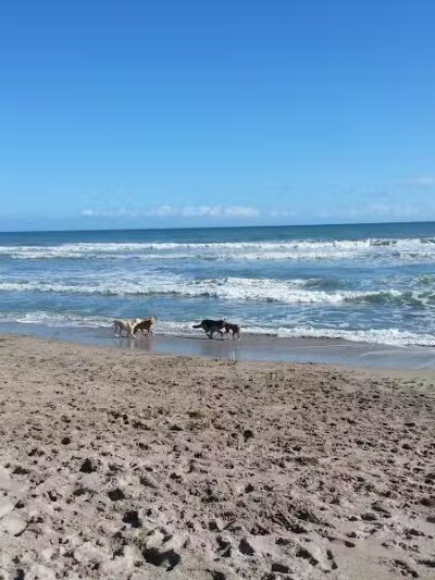 Walton Rocks Beach / Dog Park - Jensen Beach, FL