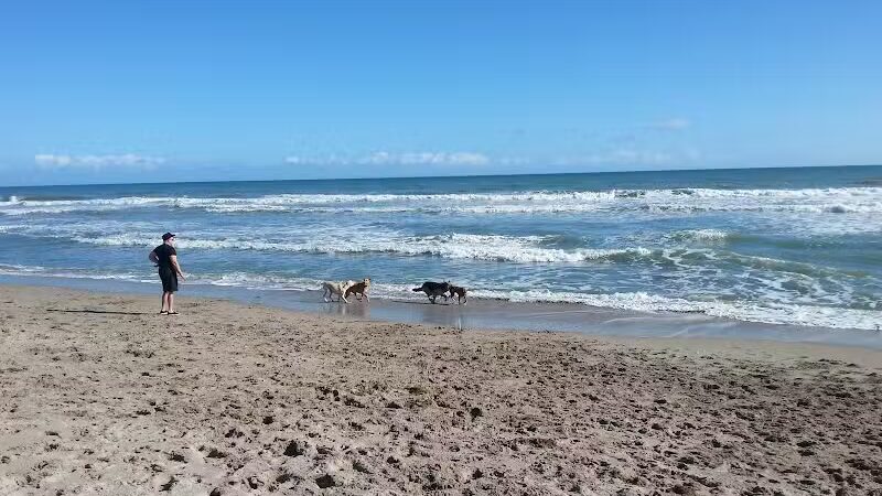 Walton Rocks Beach / Dog Park - Jensen Beach, FL