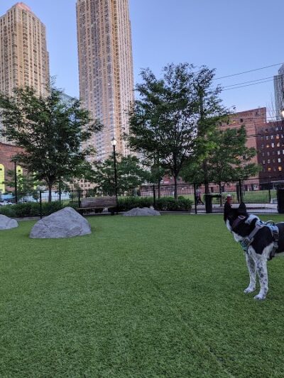 108 First Street Dog Park - Jersey City, NJ