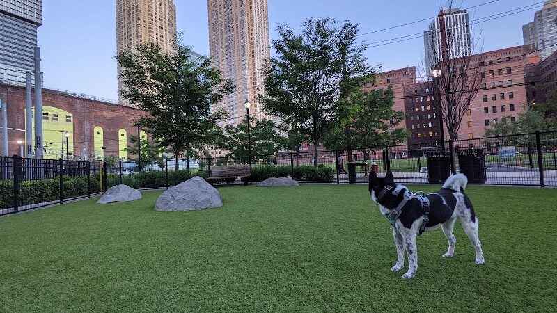 108 First Street Dog Park - Jersey City, NJ