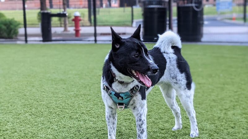 108 First Street Dog Park - Jersey City, NJ