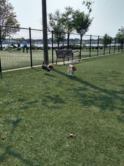 108 First Street Dog Park - Jersey City, NJ