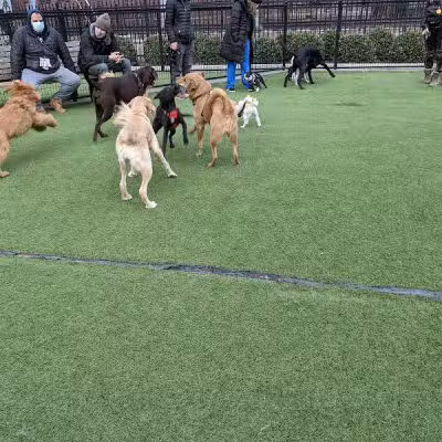 108 First Street Dog Park - Jersey City, NJ