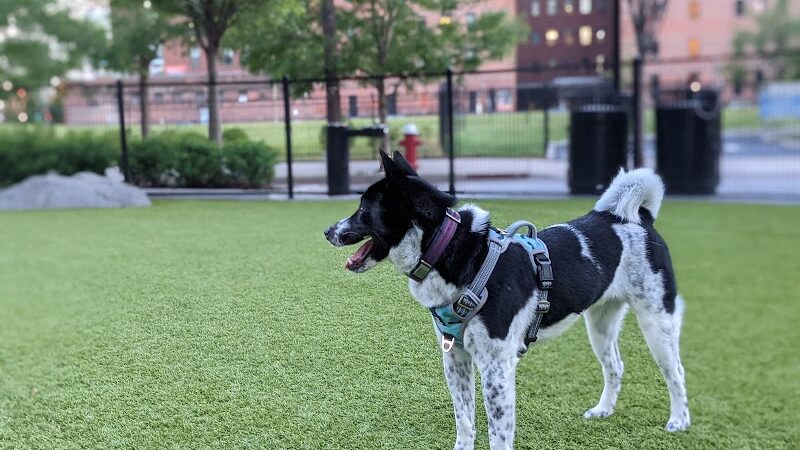 108 First Street Dog Park - Jersey City, NJ