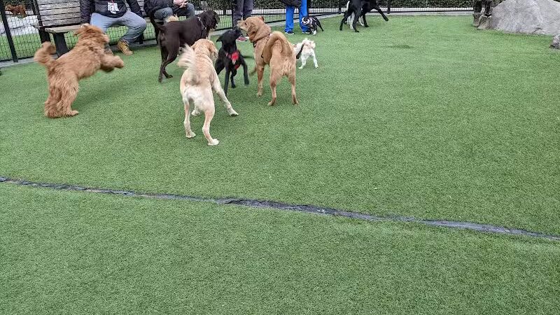 108 First Street Dog Park - Jersey City, NJ