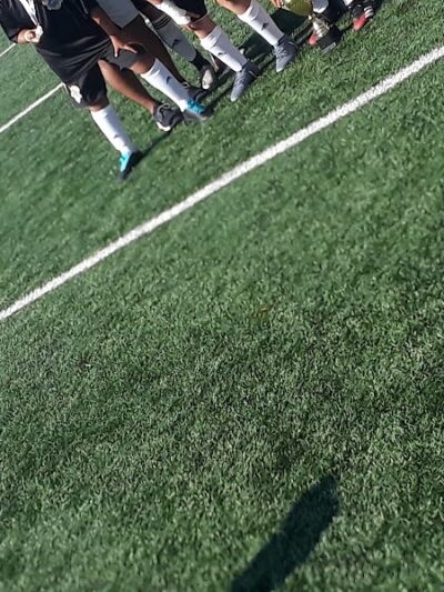 Berry Lane Park Dog Run - Jersey City, NJ