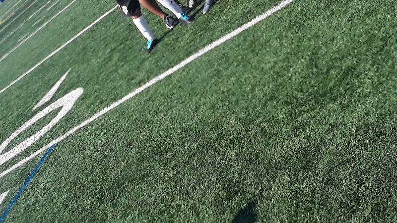 Berry Lane Park Dog Run - Jersey City, NJ